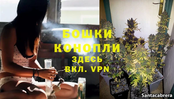 не бодяженный Аркадак