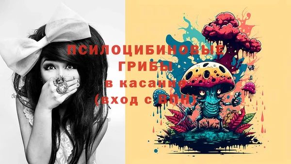 мдпв Баксан