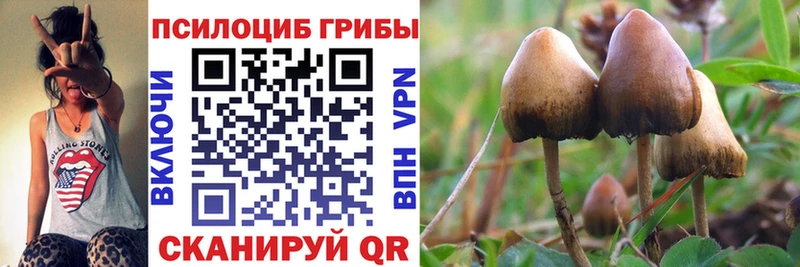 как найти закладки  Новый Оскол  кракен ссылки  Галлюциногенные грибы Magic Shrooms 