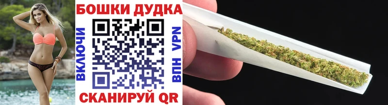 Бошки марихуана сатива где найти наркотики Новый Оскол
